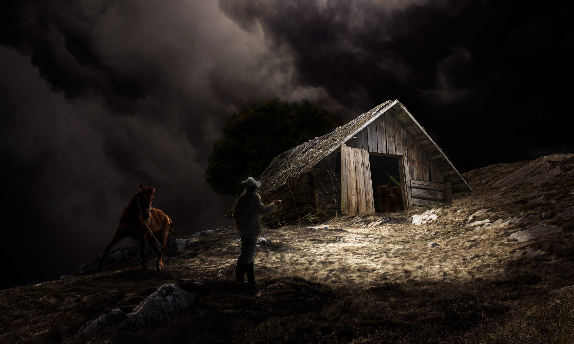 Le Dresseur de Chevaux